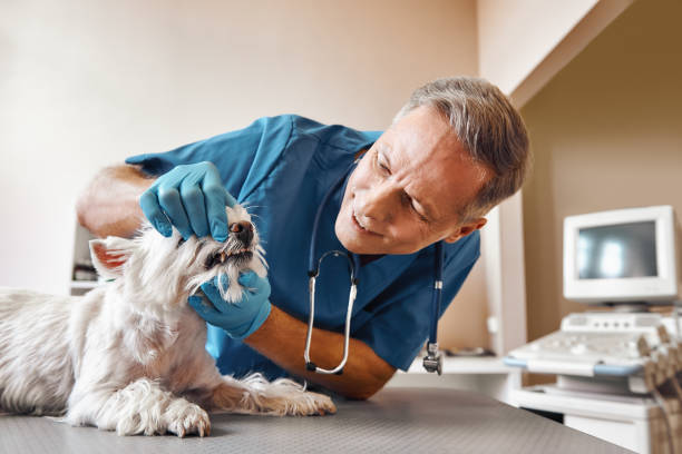  Cliffside Park, NJ Emergency Dentist Pros